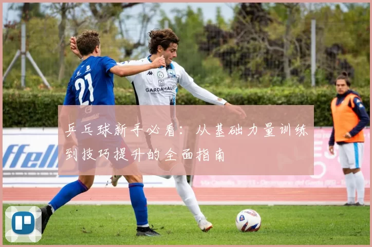 乒乓球新手必看:从基础力量训练到技巧提升的全面指南