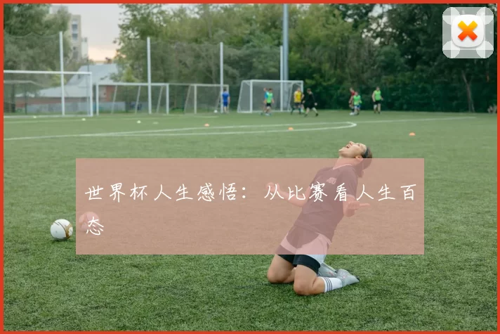世界杯人生感悟:从比赛看人生百态