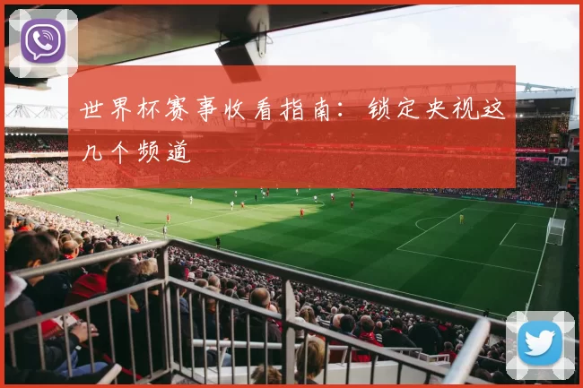 世界杯赛事收看指南：锁定央视这几个频道