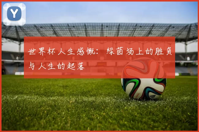 世界杯人生感慨：绿茵场上的胜负与人生的起落