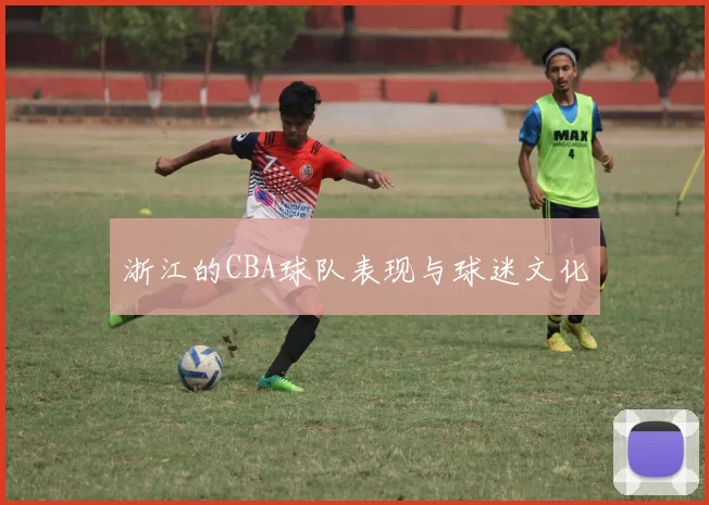 浙江的CBA球队表现与球迷文化