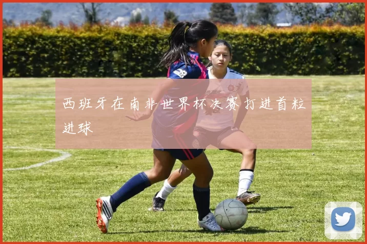 西班牙在南非世界杯决赛打进首粒进球
