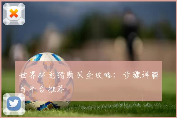 世界杯竞猜购买全攻略：步骤详解与平台推荐