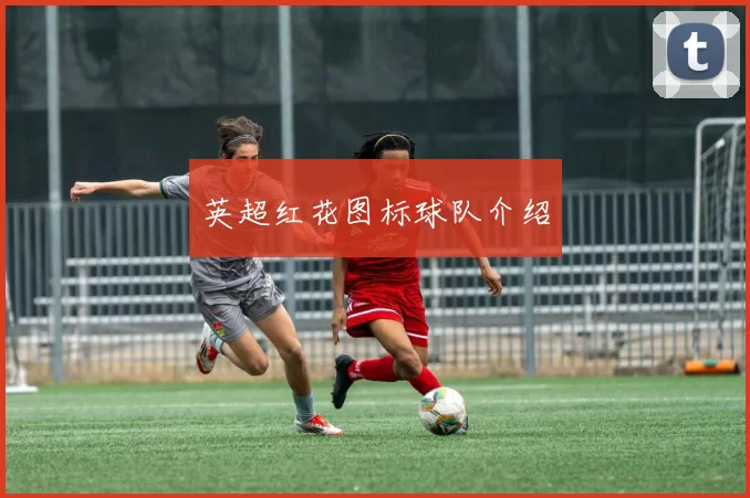 英超红花图标球队介绍