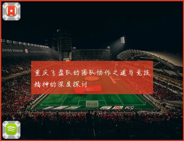 重庆飞盘队的团队协作之道与竞技精神的深度探讨
