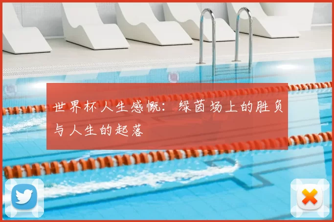 世界杯人生感慨：绿茵场上的胜负与人生的起落