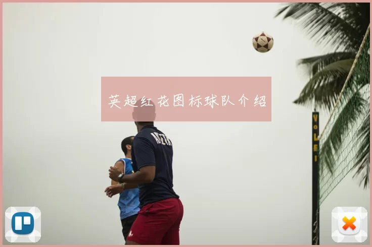 英超红花图标球队介绍