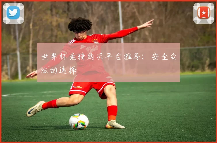 世界杯竞猜购买平台推荐:安全合法的选择