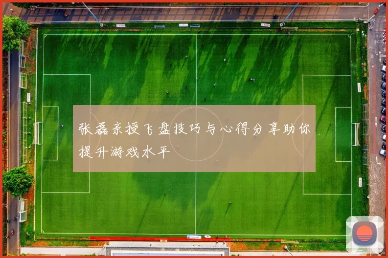 张磊亲授飞盘技巧与心得分享助你提升游戏水平