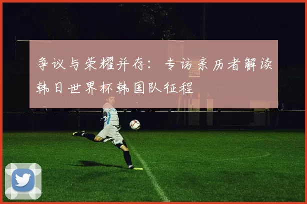 争议与荣耀并存：专访亲历者解读韩日世界杯韩国队征程