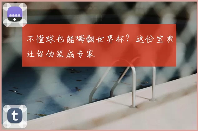 不懂球也能嗨翻世界杯?这份宝典让你伪装成专家