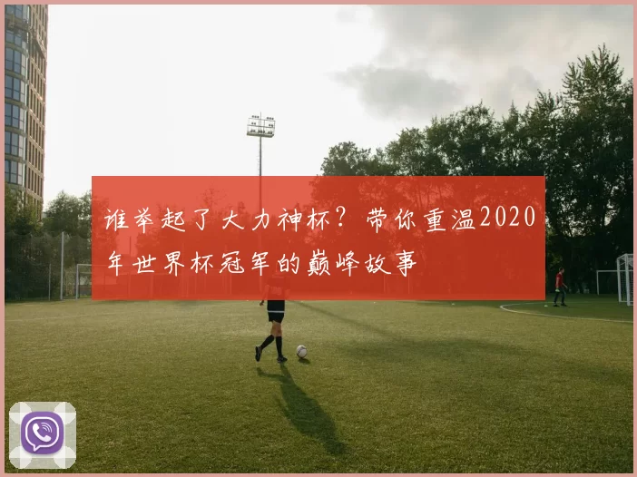 谁举起了大力神杯?带你重温2020年世界杯冠军的巅峰故事